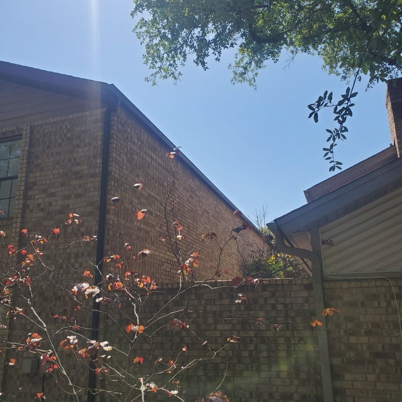 Gallery photos for Sleek Black Gutter Upgrade in Arlington TX: Image #2