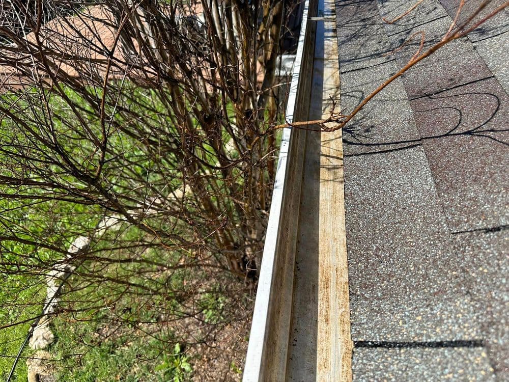 Gutter cleaning near a roof with shingles and leafless bushes in the background.