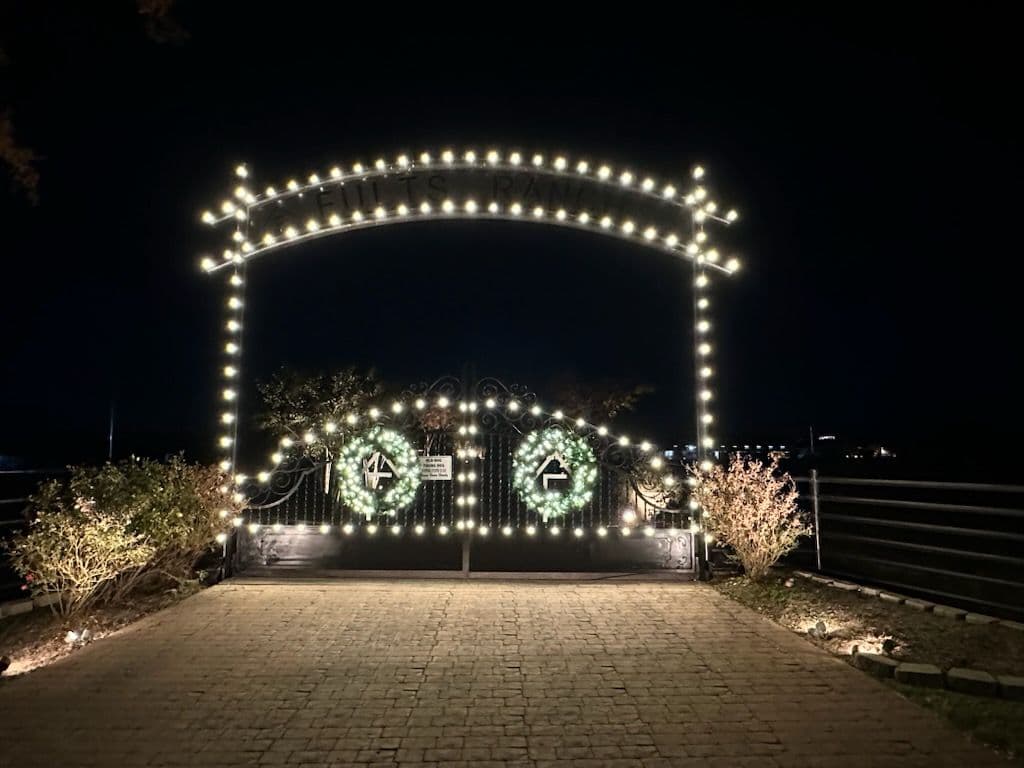 Christmas Light Installation Shines Bright in Aledo image