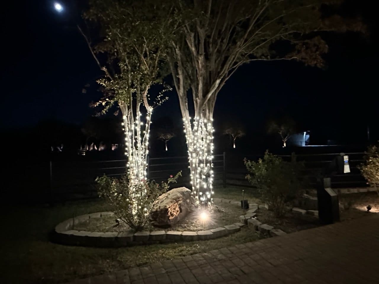 Gallery photos for Christmas Light Installation Shines Bright in Aledo: Image #3